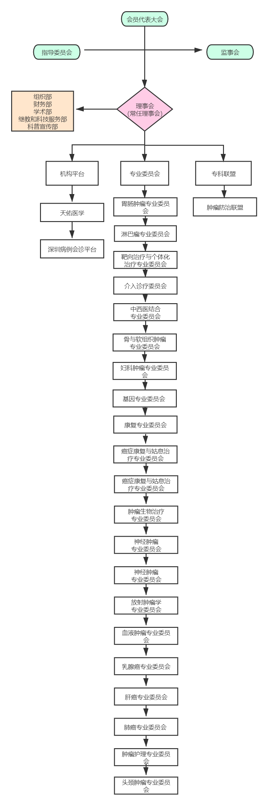 深圳市抗癌协会架构图.jpg